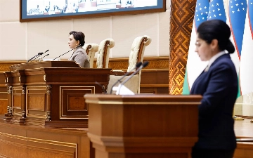 Председатель Сената не сможет занимать пост более двух сроков подряд